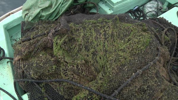 全自動洗網機の洗浄の様子 - 洗浄前